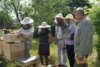 Budowanie i łączenie miast świadomych roli pszczół w Europie